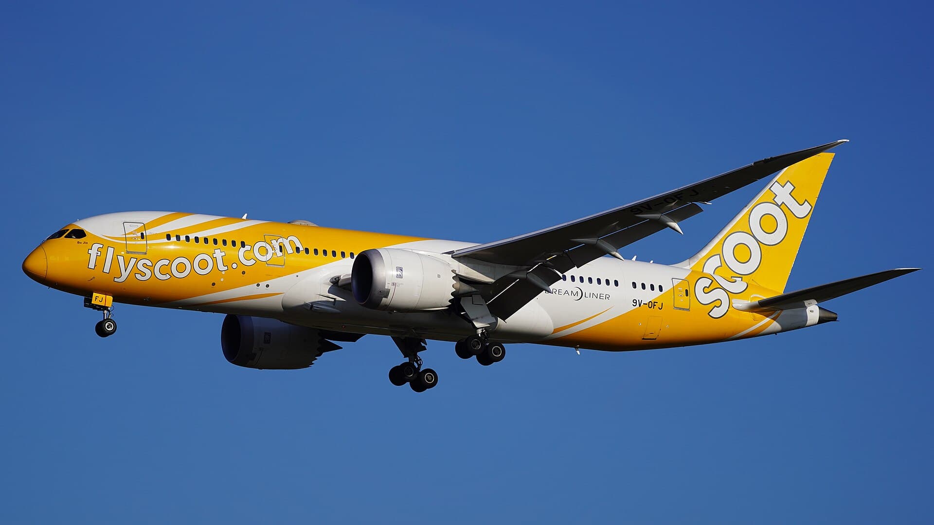 Scoot EU261 Compensation: Complete Rights Guide for Passengers